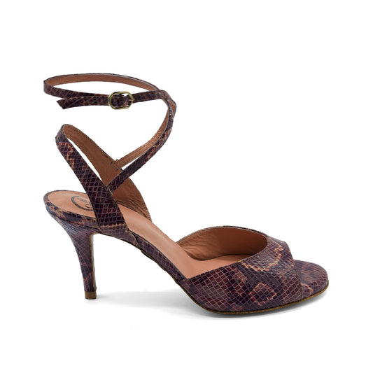 Purple Viper Tango Shoes CatherineStella